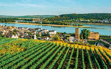 Rüdesheim along the Rhine Rüdesheim along the Rhine